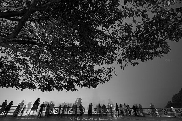 黑白摄影：重庆一棵树
